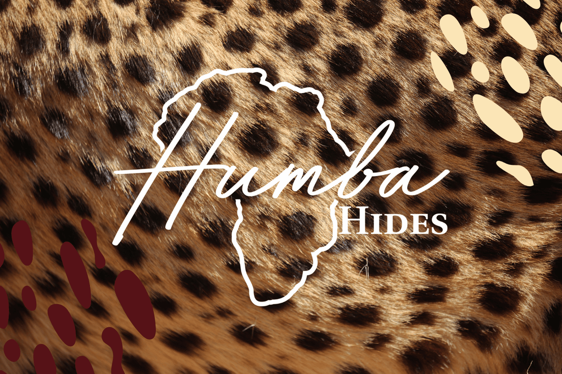 From South Africa to Australia: The Heart Behind Humba Hides